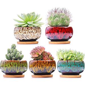 LamDawn Graziosi vasi da giardino in ceramica per piante grasse, fioriera con drenaggio e piattino attaccato, set di 5 piante non incluse (rotonde)