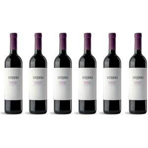 Batasiolo, BARBERA D'ALBA DOC, Vino Rosso Fermo Secco, Sapore Equilibrato Vintage - Confezione da 6