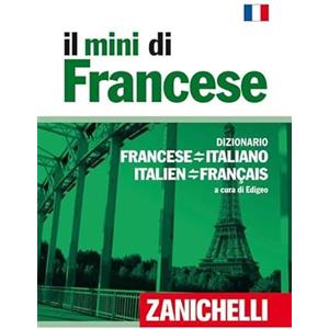Zanichelli Il mini di francese. Dizionario francese-italiano, italiano-francese