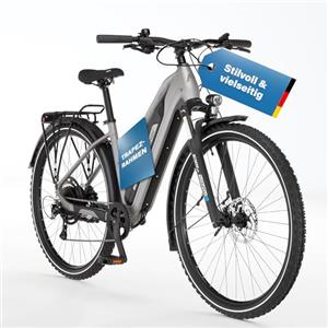 Fischer E-ATB ACTIVE TERRA 2.2, Elektrofahrrad für Damen und Herren, RH 45, 688Wh, Heckmotor 50Nm, 48V