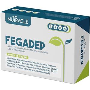 Nutracle, FegaDep Integratore Fegato Detox con Cardo Mariano, Carciofo, Colina, Glutatione e Rosmarino - Drenante Depurativo per favorire Digestione (40 compresse (confezione da 1))