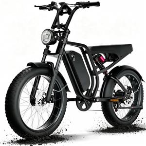 DEEPOWER Bicicletta Elettrica Per Adulti, 48V/52V 20Ah Batteria Rimovibile, Autonomia Lunga 60-110KM, Ebike Con Pneumatici Fat 20" Per Tutti I Terreni, 7 Marce, Sospensione Idraulica (Nero Classico)