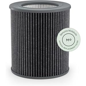 Molekule Filtro PECO per Air Mini e Air Mini+ Purificatori d'Aria - Filtro di Ricambio, Elimina Virus, VOC, Allergeni, Batteri, Muffa, Fumo - Nanotecnologia Avanzata, Sostituzione 6 Mesi