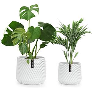 Fox & Fern Fox&Fern set di 2 vasi da fiori S/M con nervature 3D - vaso grande con drenaggio dell'acqua - vasi per piante da interno - set di vasi da 21 e 25 cm di diametro - set di vasi per piante