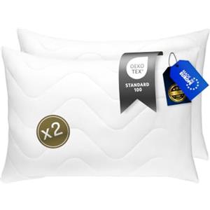 FH FAM' HOME HOME COSINESS FAM' Home - Set di 2 cuscini di lusso, cuscino ergonomico bianco, facile da curare, cuscino anallergico, lavabile fino a 95 °C, traspirante (Set di 2 50x70 cm)