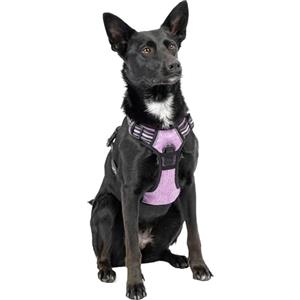 Ferplast Pettorina Cane Taglia Media, 2 Ganci per Massimo Controllo, Anti Tiro, Pettorina Cane Regolabile, Riflettente, Traspirante, Imbracatura Cani ideale per Addestramento M, Viola