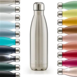 Blumtal® Borraccia termica acciaio inox Charles - borraccia termica 500 ml senza BPA - bottiglia termica a prova di perdite - borraccia 500 ml a doppia parete - in argento