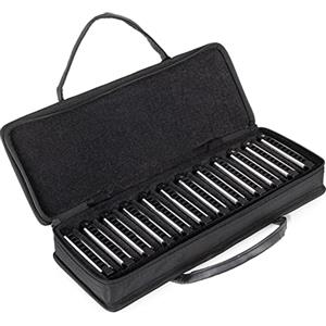 Classic Cantabile AHBS-12 Alabama Blues Harmonica Set da 12 - Armoniche Diatoniche in Diverse Tonalità - 10 Ance in Ottone - Corpo in Acciaio Inossidabile - Include Custodia & Panno