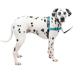 PetSafePettorina Deluxe Easy Walk Grande, Blu Oceano - 0.4 kg