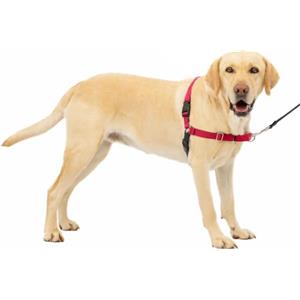PetSafe Easy Walk - Pettorina Anti-tiro per Cani, Addestramento con Guinzaglio, Rosso, Taglia Grande