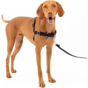 PetSafe Easy Walk - Pettorina Anti-tiro per Cani in Nylon Resistente, Taglia M, Colore Nero