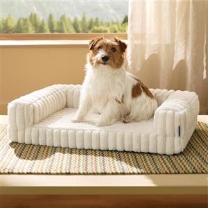 Bedsure Cuccia Ortopedica per Cani Media - 76x51x16,5cm Letto Ortopedico in Memory Foam con Bordi, Impermeabile, Base Antiscivolo e Fodera in Velluto a Coste Sfoderabile, Crema