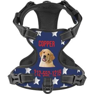 WINKEEY Pettorina per cani Personalizzata, Pettorina per cani Taglia Piccola, Media e Grande, ad h, Personalizzabile con nome e numero di telefono, Riflettente
