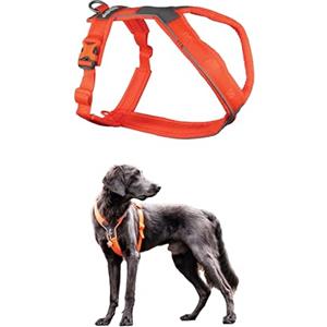 Non-stop dogwear Line Harness 5.0, pettorina imbottita per cani di taglia piccola, media e grande, realizzata per escursioni, sport e uso quotidiano attivo, taglia 3
