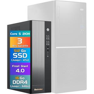 Blackview NEX60 PC Fisso SFF Win 11 Pro, 13th Gen Intel Core 5 210H (8C/12T), 16GB RAM 512GB SSD (Up to 64GB+4TB) PC Desktop, 4K Duo Display Computer Fisso, WiFi6/15 Ports/USB3.2 [3-Year Warranty]