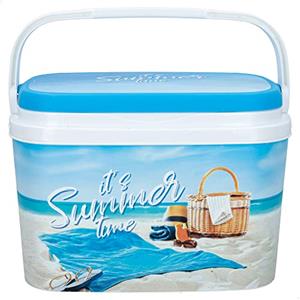 AKTIVE 62249 Frigorifero da spiaggia portatile Frigorifero piccolo per alimenti, capacità 6L Misure 29x19x20,5cm Frigorifero rigido da spiaggia facile da trasportare, multicolore, Normale