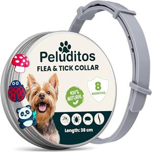 ADV Home Collare Antiparassitario per Cani Taglia Piccola - 8 Mesi di Protezione contro Pulci e Zecche - Regolabile con Oli Essenziali e 3 Charms Inclusi - 38 cm