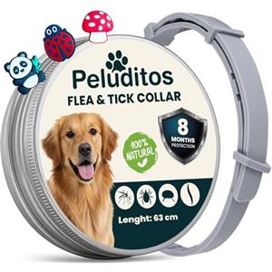 ADV Home Collare Antiparassitario per Cani Taglia Grande - 8 Mesi di Protezione contro Pulci e Zecche - Regolabile con Oli Essenziali e 3 Charms Inclusi - 63 cm