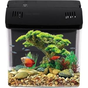 Generico Acquario Da Scrivania | Acquario Per Gamberetti Con Filtro - Per Animali Domestici Per Rane Gamberi Tartarughe Barriera - Per Anfibi E Tartarughe Acquatiche
