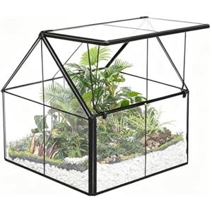 Ferrisland Terrario in vetro Wardian per piante grasse, piccolo vaso per piante grasse, con porta, decorazione da tavolo, regalo fai da te, 12,7 x 10,9 x 10,9 cm