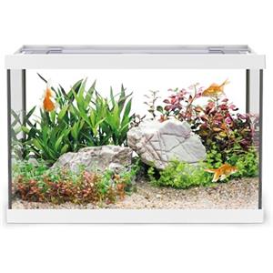 AQPET One Mini Acquario in vetro Bianco 20 litri - acquario completo con filtro interno, sabbia, pianta decorativa e sfondo - design elegante 36x22x26 cm, ideale per principianti