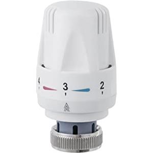 Qiumi testina termostatica TRV radiatore filetto M30 x 1,5