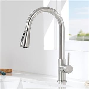 CECIPA Rubinetto Lavello Cucina con 2 Tipi di Modalità, Miscelatore Cucina con Doccetta Estraibile di 40CM, Rubinetto Acciaio Inox con Doccia Estraibile, Miscelatore Girevole a 360°