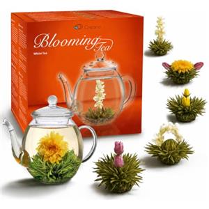 Creano - Mix di Fiori di Tè Bianco - 6 Varietà di Erblühtee + Barattolo di Vetro 500ml - Ideale per Tè Floreale e Infusione Elegante