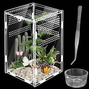 Pritok - Terrario per rettili e anfibi, in vetro per terrario portatile per spide, scorpione, coleottero, adoratore, 20 x 12 x 12 cm
