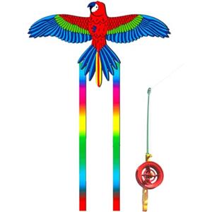 Tkidplw Dinamico Aquiloni 3D Canna Da Pesca Linea Piccolo Facile Gioco Di Volare Lungo Coda Popolare Attività Spiaggia Genitore-Bambini Favore Dinamico C