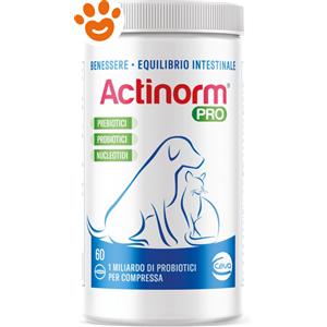 Ceva Dog&Cat Actinorm Pro - Confezione Da 60 Compresse