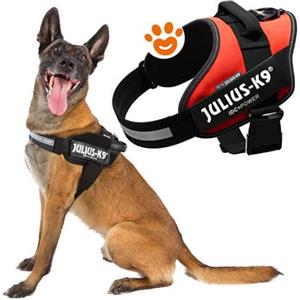 Pettorina IDC Julius K9 Powerharness (ITA) - Fucsia, XXXS/Baby 1 (29-36cm)