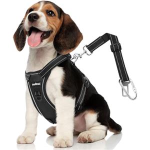 VavoPaw Cani Cintura di Sicurezza per Auto, Cintura di Sicurezza Per cani in Rete Regolabile & Traspirante con Elastico per Animali Piccoli Medi e Grandi, M, Nero