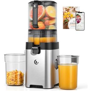 AMZCHEF Estrattore di Succo a Freddo, 158 mm Bocca Larga per Frutta e Verdura Intera, 2.5 L, Facile da Pulire, 2 Filtri per Succo e Gelato, per Famiglie, Genitori e Colazione