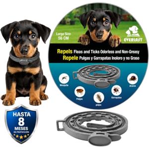 Tempotech Collare Antiparassitario per Cani - 8 Mesi di Protezione contro Pulci, Zecche, Zanzare e Acari - 65 cm Regolabile, Efficace e Sicuro 100% Naturali (1, GRIGIO RINFORZATO, 56CM)