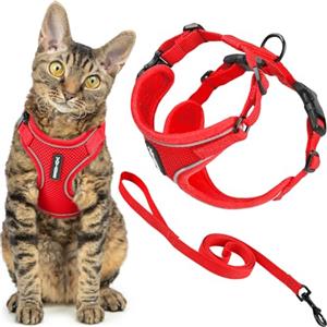 Best Pet Supplies Voyager - Set di pettorina e guinzaglio per gatti a prova di fuga con cuciture riflettenti, manico in neoprene da 1,5 m, supporta gatti piccoli, medi e grandi, gattini, rosso, M
