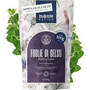 Monte Nativo Tè di foglie di gelso Monte Nativo (300g) - Erbe aromatiche senza additivi - Infusi e tisane per la tazza di tè più deliziosa - Raccolte ed Essiccate Delicatamente - Tè alle erbe aromatico- Herbal Tea