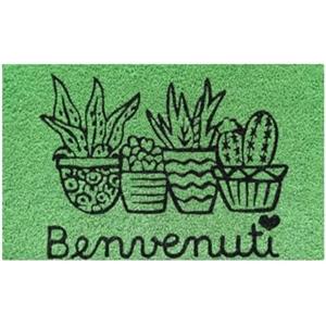 Baroni Home Zerbino Ingresso Casa in Fibra di Cocco Dipinto a Mano, Tappeto da Esterno con Fondo Antiscivolo, Zerbino con Cactus Resistente e Facile da Pulire, 60x38 cm, Verde