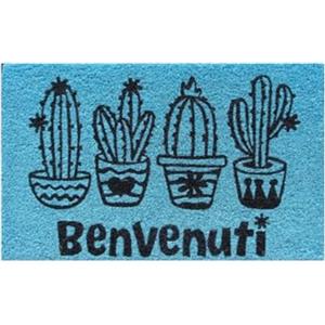 Baroni Home Zerbino Ingresso Casa in Fibra di Cocco Dipinto a Mano, Tappeto da Esterno con Fondo Antiscivolo, Zerbino con Cactus Resistente e Facile da Pulire, 60x38 cm, Azzurro
