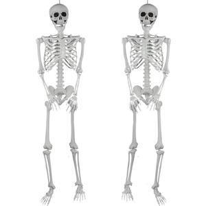 SIFOEL 165cm Halloween scheletro umano realistico in plastica a grandezza naturale con articolazioni mobili per la decorazione della festa di Halloween, 2 pezzi