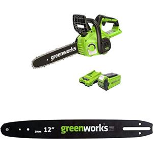 Greenworks Motosega a Batteria, Lunghezza Barra 12 Pollice (30cm), Batteria 40V 2Ah e Caricabatterie + Greenworks 30cm barra a catena