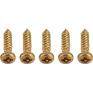 CDQL 50 Viti di Montaggio Cromate, Viti di Ricambio Durevoli per Meccaniche per Chitarra, Piroli, Accordatori, Accessori per Strumenti Musicali (Oro)
