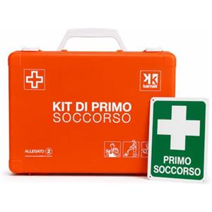 Generico Cassetta Pronto Soccorso Completa con Cartello Primo Soccorso | Conforme DM 388/2003 Allegato 2 | Kit Medico Aziendale fino a 2 Lavoratori | Cassetta Medica D.Lgs. 81/08