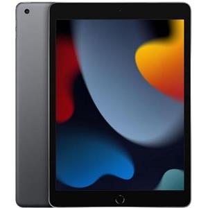iPad 9 2021 Ricondizionato - grigio-siderale - 64gb - wifi-cellular - pari-al-nuovo -