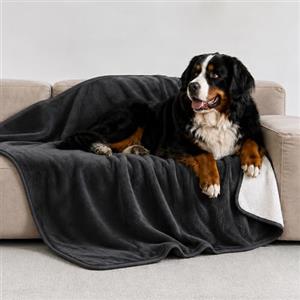 Twinzen Coperta Impermeabile per Cani 100x120 cm Grigio Scuro - Copridivano e Copriletto Reversibile in Pile Sherpa - Telo Impermeabile per Letto o Divano Lavabile