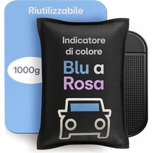 Praknu Deumidificatore Auto 1000 g - Assorbiumidità Riutilizzabile per Vetri senza Appannamento - con Indicatore di Saturazione e Pad Antiscivolo