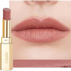 Oulac Rossetto Opaco Donna-Rossetti Matte Lunga Durata Opaco Alta Pigmentazione, Finitura Mat Morbida,Texture Leggera&Confortevole Rossetto Waterproof&No Transfer Matte Lipstick Make-up Vegano RM02