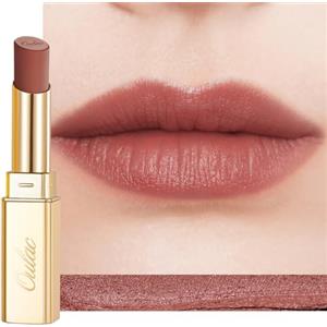 Oulac Rossetto Opaco Donna-Rossetti Matte Lunga Durata Opaco Alta Pigmentazione, Finitura Mat Morbida,Texture Leggera&Confortevole Rossetto Waterproof&No Transfer Matte Lipstick Make-up Vegano RM06