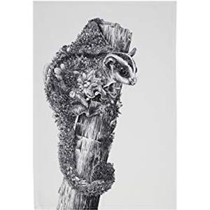 Maxwell & Williams Marini Ferlazzo Asciugamano da tè con disegno Sugar Glider, 1% cotone indiano, bianco, 5 x 7 cm