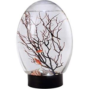 NIDONE Ecosistema acquatico chiuso di mini acquario ecosistema chiuso con acqua nera per desktop luminosa a LED non è necessario nutrire o cambiare acqua, ecosistema della biosfera